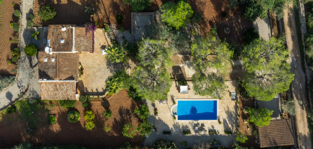 Finca Son Mulet