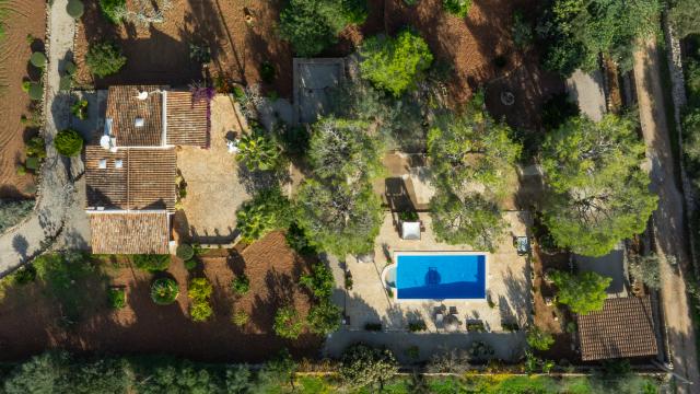 Finca Son Mulet