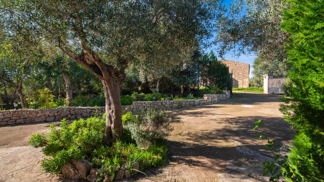Finca Can Jutger
