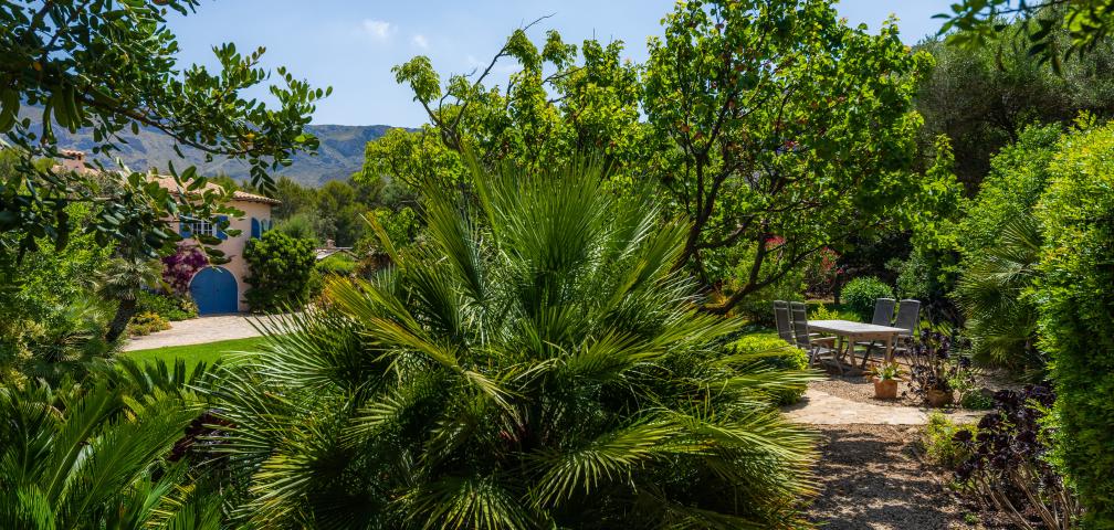 Finca Ses Figueres
