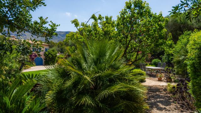 Finca Ses Figueres