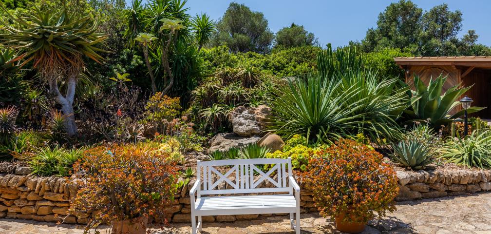 Finca Ses Figueres