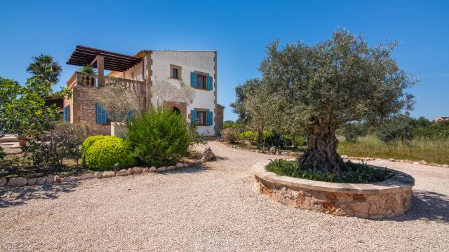 Finca Sila