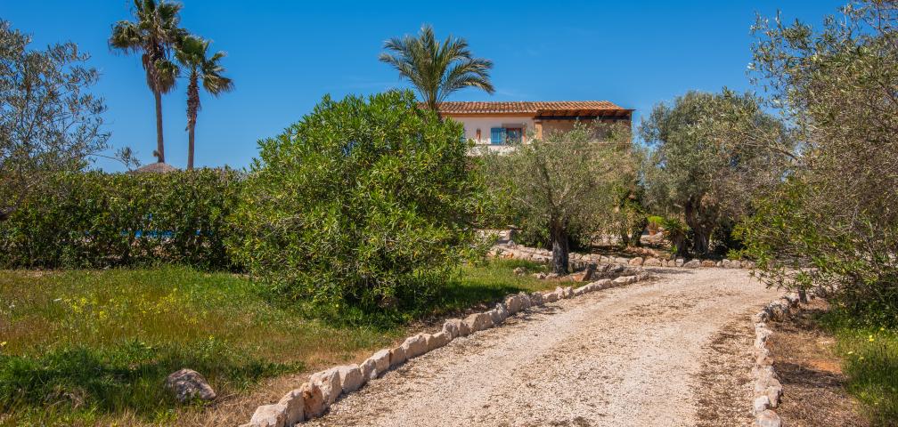 Finca Sila