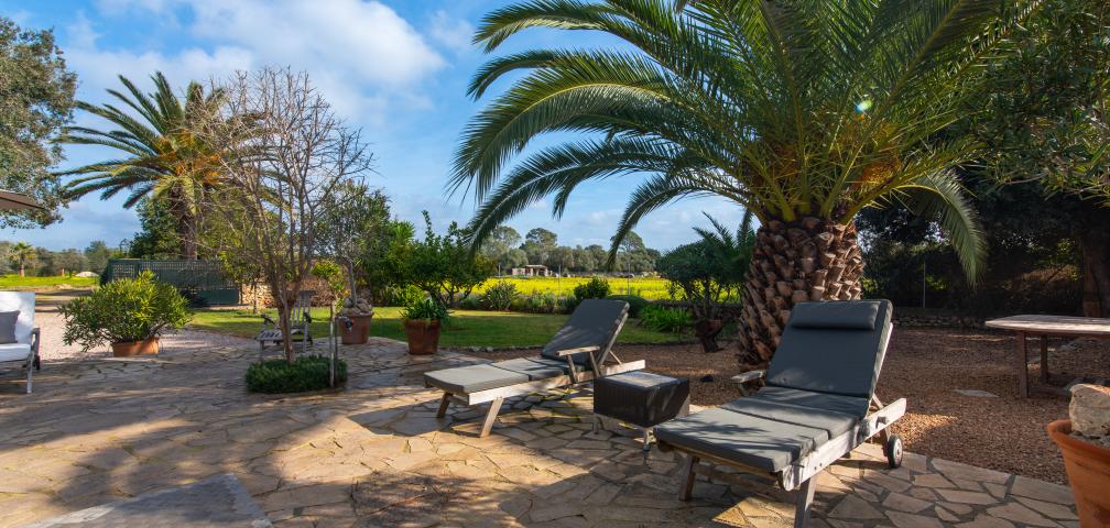 Finca Son Mora
