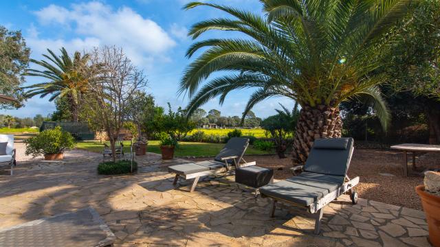 Finca Son Mora