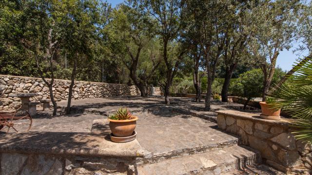 Finca Pepe