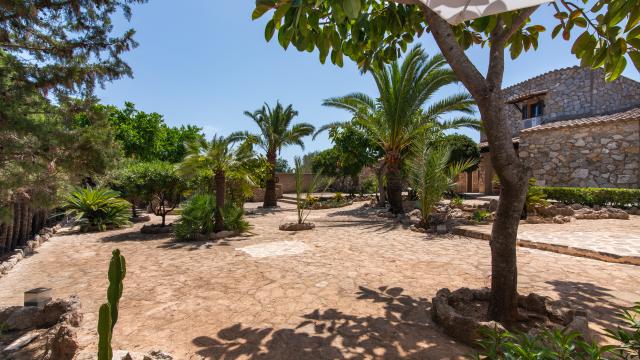Finca Pepe
