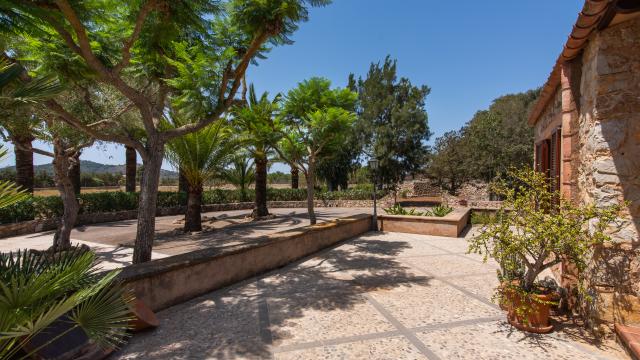 Finca Pepe