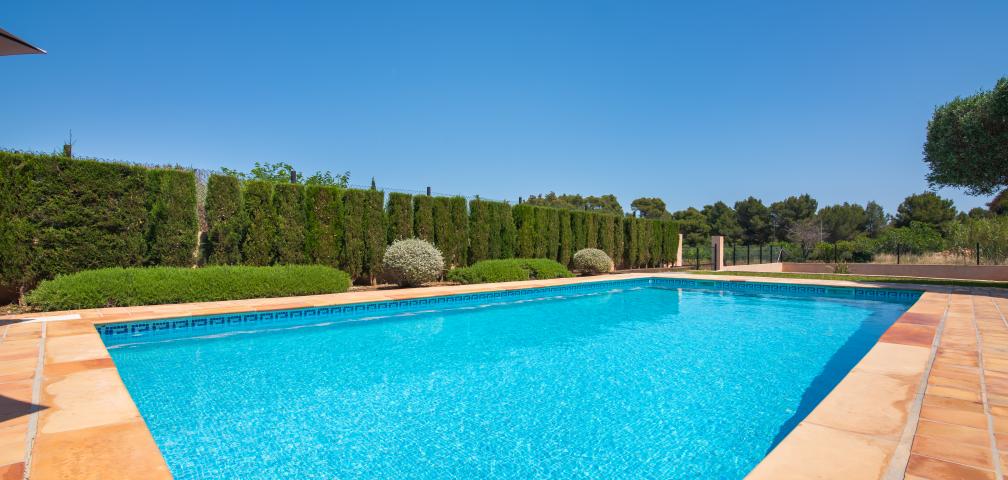 Finca Olivo de Son Jaumell