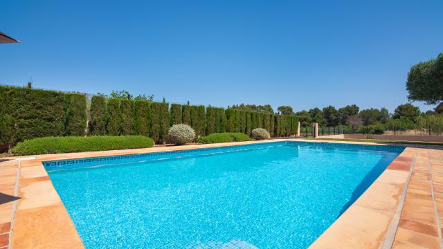 Finca Olivo de Son Jaumell