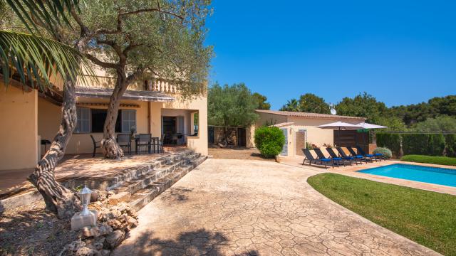 Finca Olivo de Son Jaumell