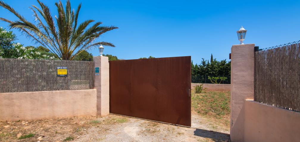 Finca Olivo de Son Jaumell
