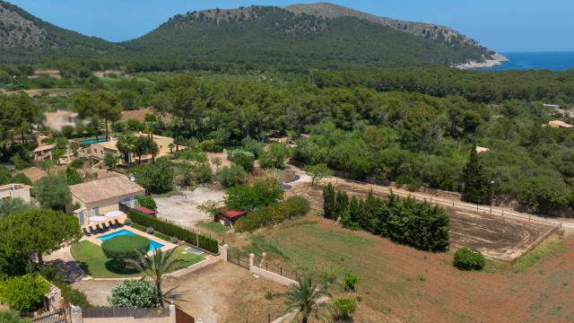 Finca Olivo de Son Jaumell