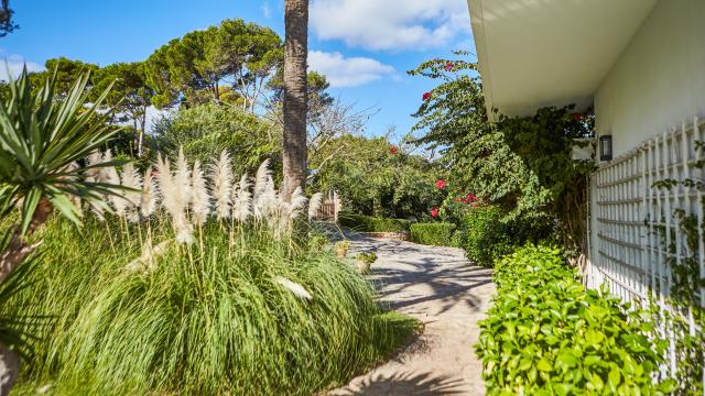 Villa Sunshine