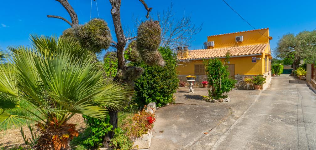 Finca Sa Sini