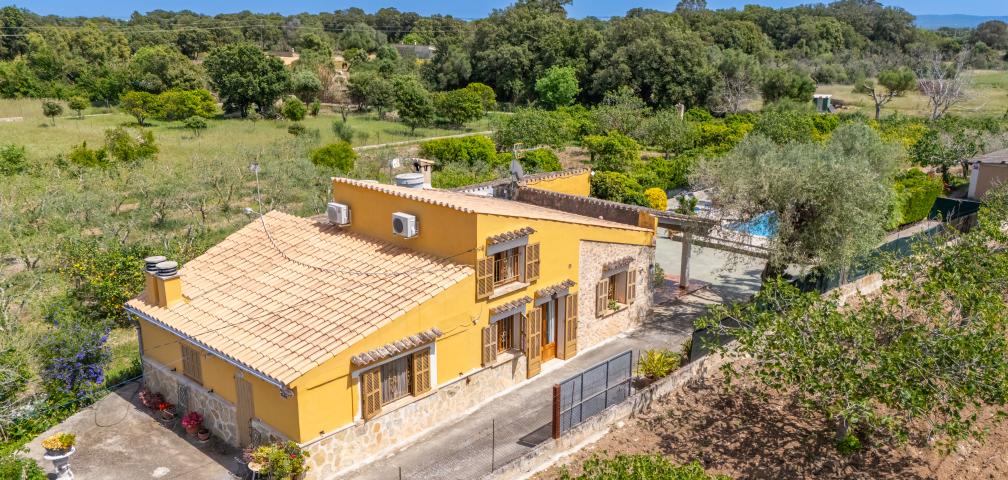 Finca Sa Sini