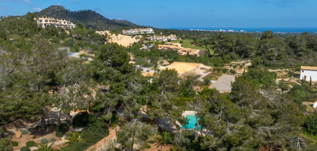 Finca Sa Caseta  D'Or