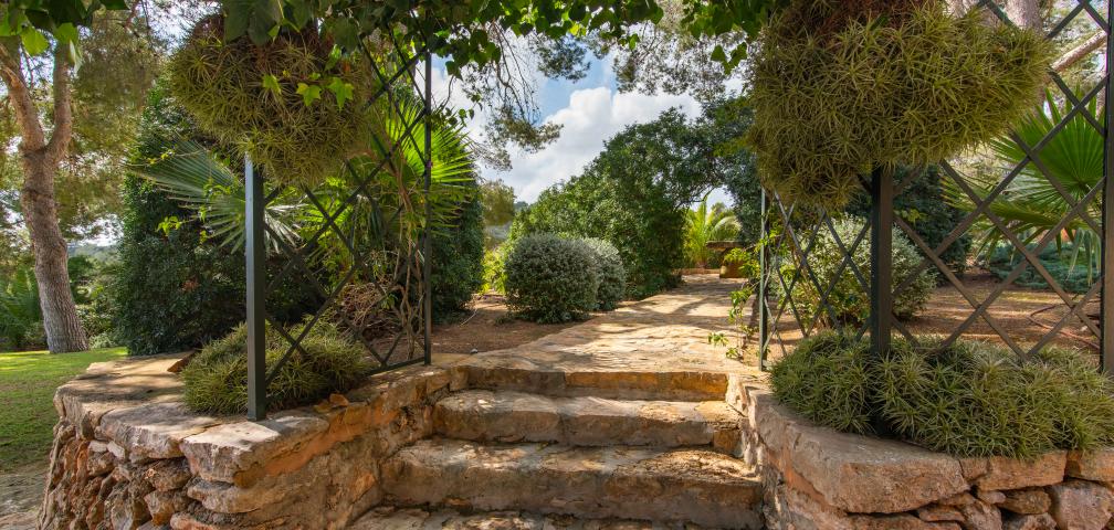 Finca Sa Caseta  D'Or