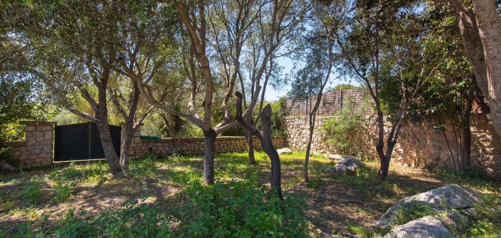 Finca Sos Monjos