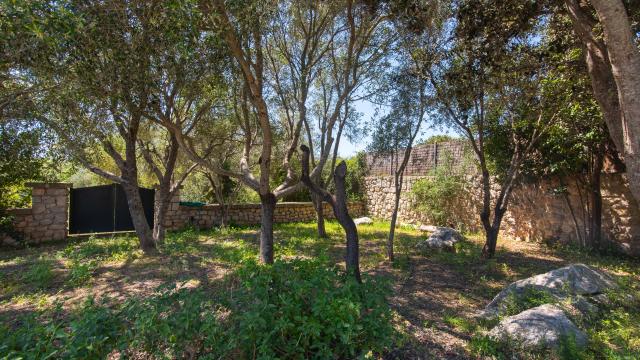 Finca Sos Monjos