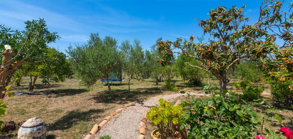 Finca Naranja y Flores