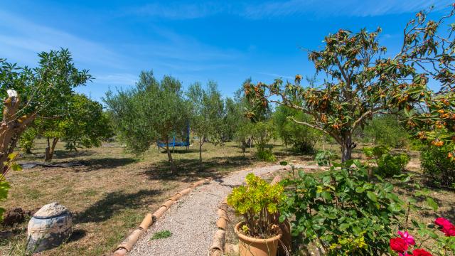 Finca Naranja y Flores
