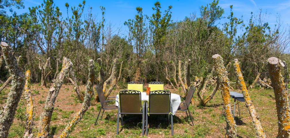 Finca Naranja y Flores