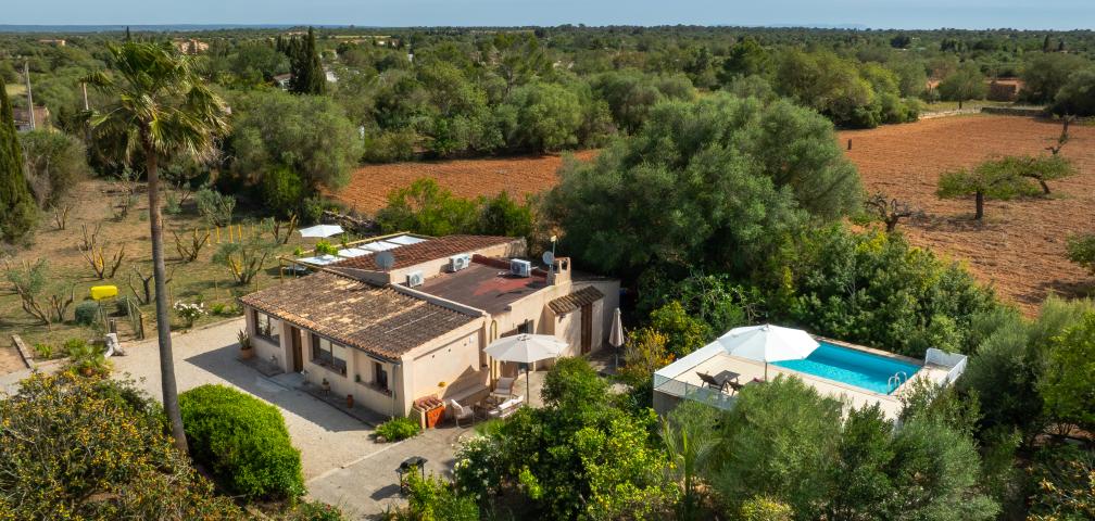 Finca Naranja y Flores