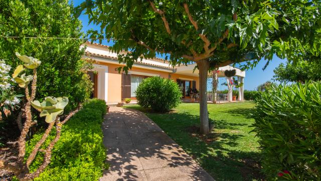 Finca Can Punxet