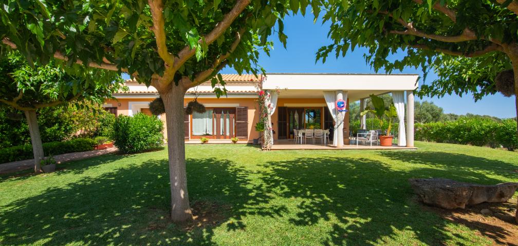 Finca Can Punxet