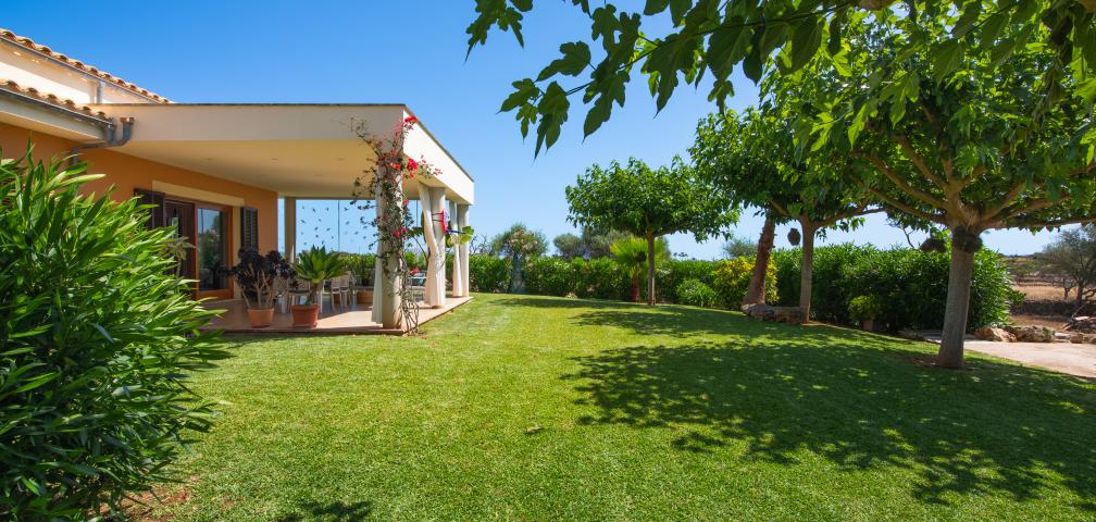 Finca Can Punxet