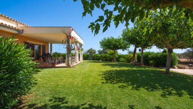 Finca Can Punxet