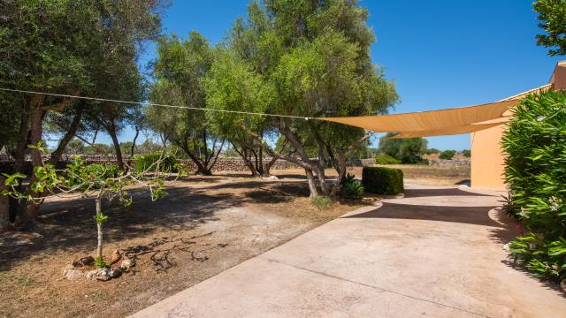 Finca Can Punxet