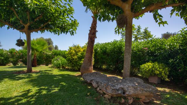 Finca Can Punxet