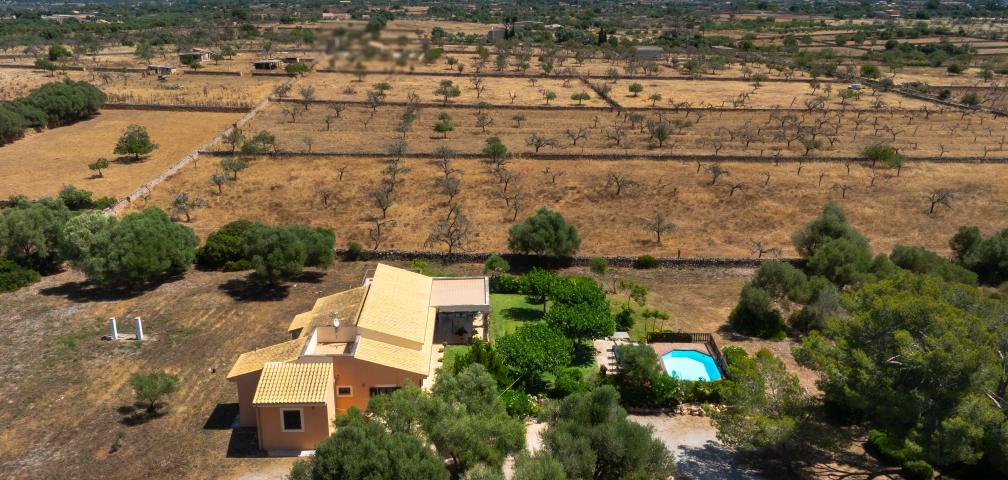 Finca Can Punxet