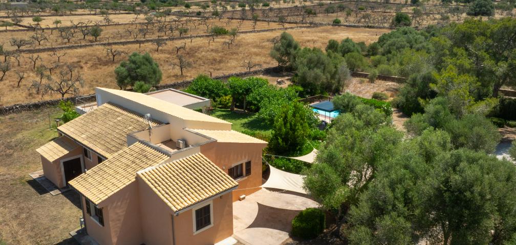 Finca Can Punxet