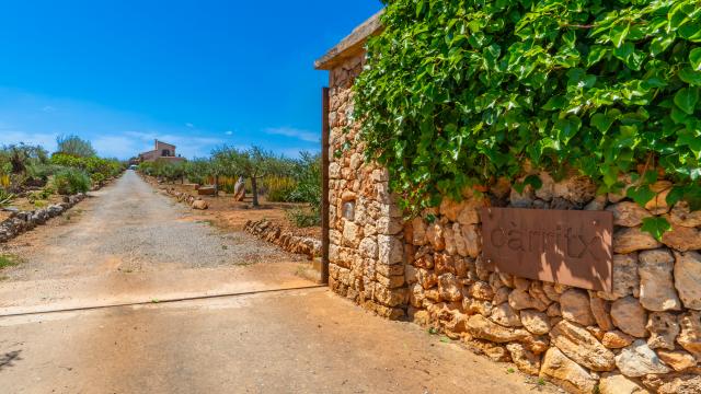 Finca Carritx