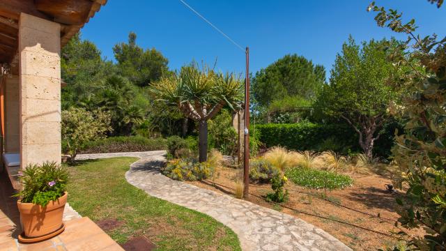 Finca Cal Llenyater