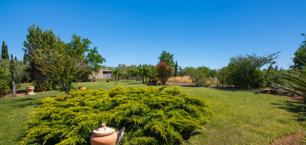 Finca Moliner Almadrava