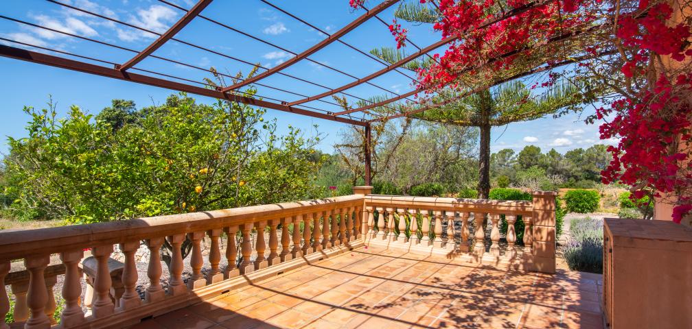 Finca Feliz