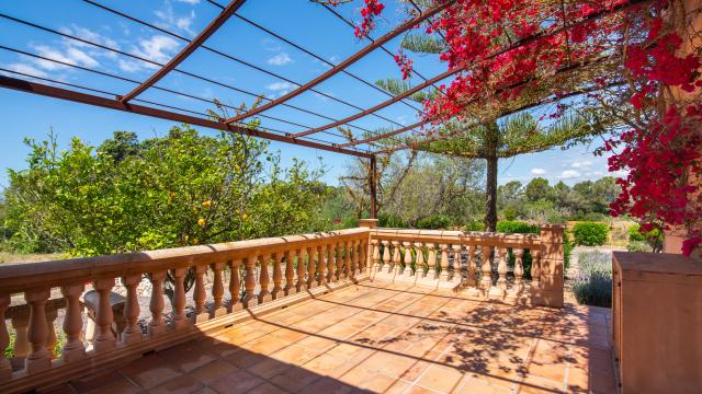 Finca Feliz