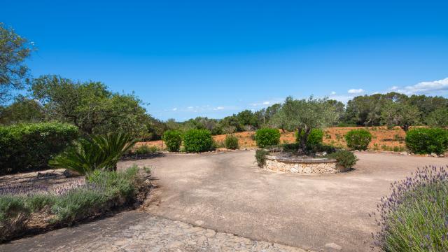 Finca Feliz