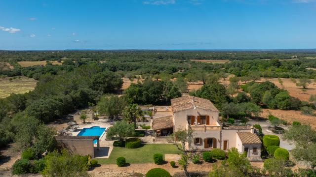 Finca Feliz