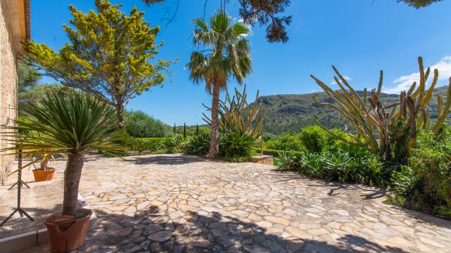 Finca Son Simo Vell