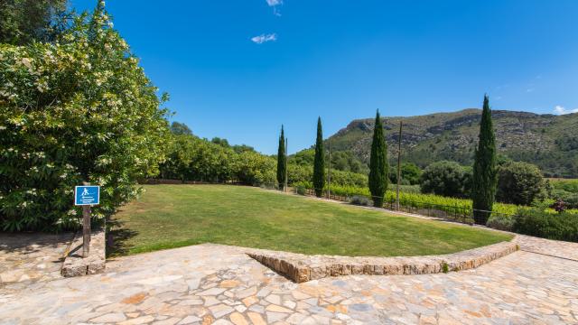 Finca Son Simo Vell