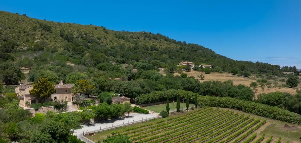 Finca Son Simo Vell