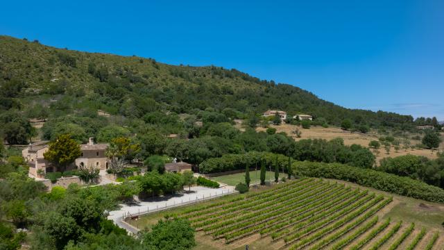 Finca Son Simo Vell