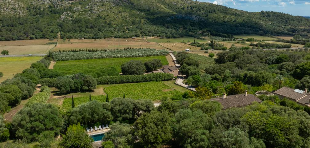 Finca Son Simo Vell