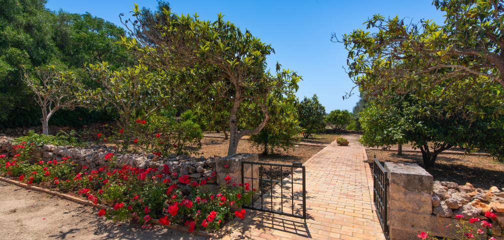 Finca Ses Cases